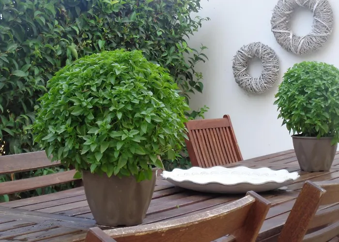 Dom wakacyjny House 30 Jalisos